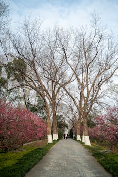 美国推动霍尔木兹联盟组建;盟友响应冷淡,国际能源通道面临考验。 新闻