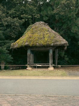  美伊紧张关系下的战略考量：弹药供应如何影响行动节奏；以色列角色备受关注。 新闻