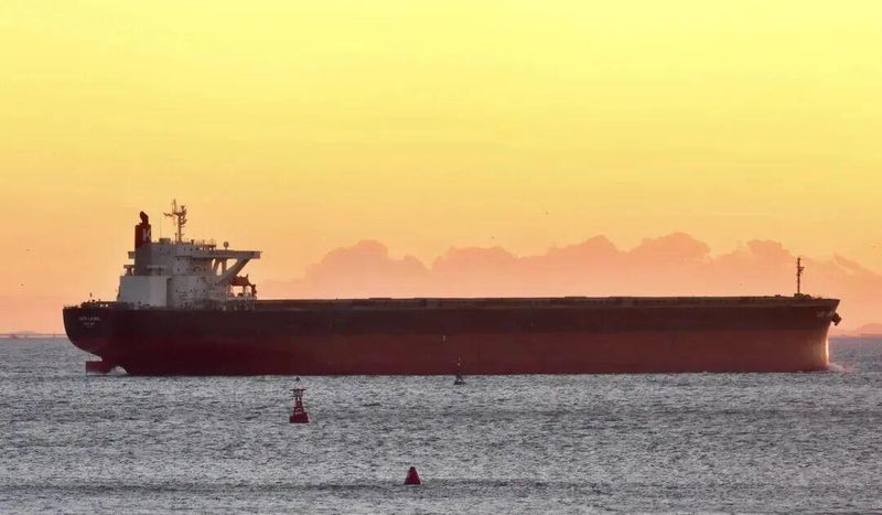 当危机降临，我们该如何像郑佳贤那样布局未来？