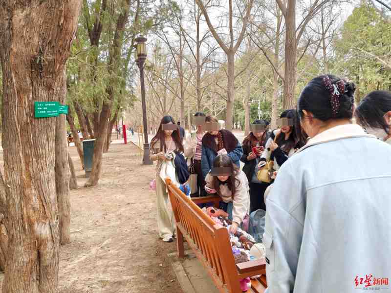  拒绝流量绑架公共资源：树木认养不该成为粉丝的“应援橱窗” 情感心理