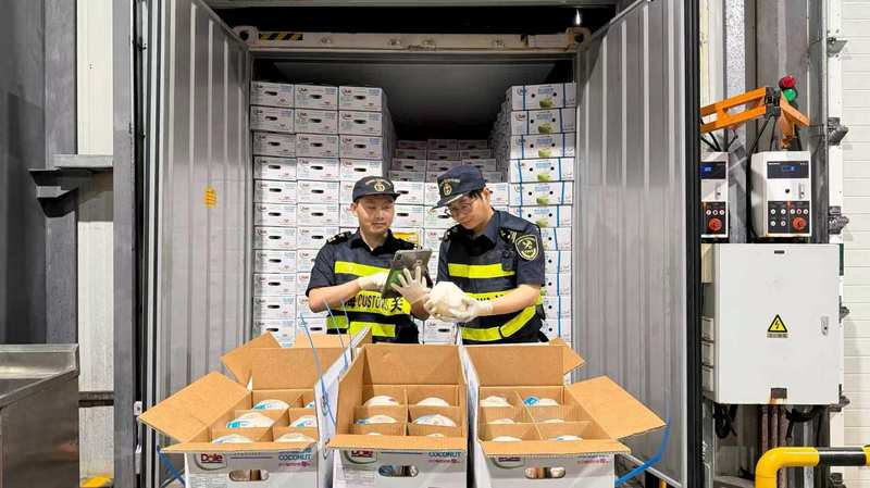 蓝莓自由真的来了吗,透视水果市场扩产的深层逻辑 新闻