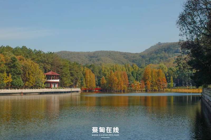  硬核拆解：2026五一蔡甸5日假期生存指南 文化旅游