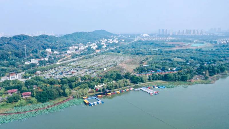  硬核拆解：2026五一蔡甸5日假期生存指南 文化旅游