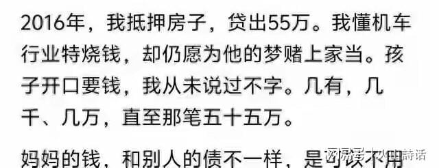  舆论场中的“多数暴政”——从张雪母亲事件透视网络生态的结构性缺陷 新闻