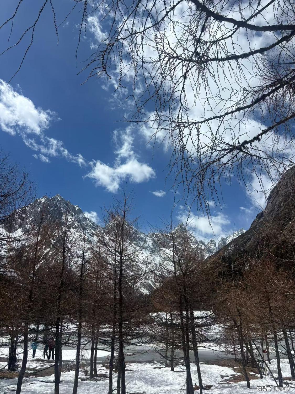 从被卡脖子到全球第二：特种纤维布国产替代的技术突围复盘 IT技术