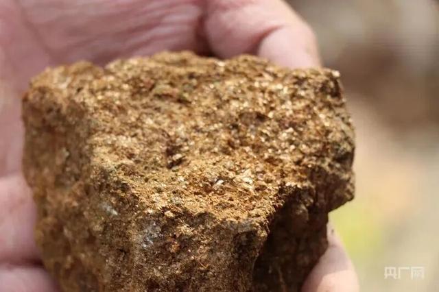 从问荆草到金矿:8岁男孩如何用植物学知识揭开地质勘查新篇章 新闻 从问荆草到金矿:8岁男孩如何用植物学知识揭开地质勘查新篇章 新闻 从问荆草到金矿:8岁男孩如何用植物学知识揭开地质勘查新篇章 新闻