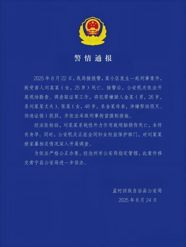 河北沧州家暴致死案:从案发到死刑执行的法律技术深度复盘 新闻