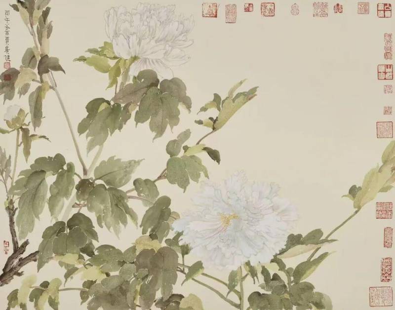 没骨牡丹写生技法深度解析:贾广健菏泽研学十年的教学革新 书画藏品