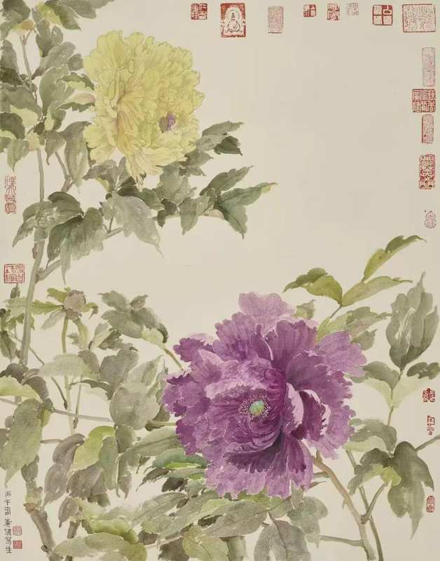 没骨牡丹写生技法深度解析:贾广健菏泽研学十年的教学革新 书画藏品