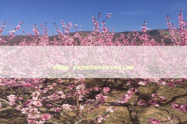 神秘揭露：外贸老板深夜叹息背后的惊人真相 新闻