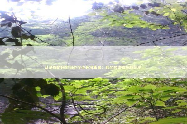 从单纯的玩家到资深资源搜集者：我的数字娱乐探索史