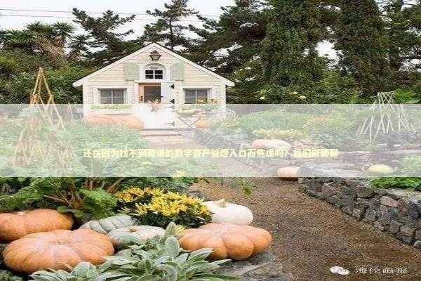 还在因为找不到靠谱的数字资产管理入口而焦虑吗？我们来聊聊 IT技术