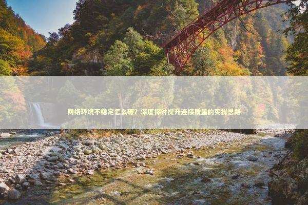 网络环境不稳定怎么破？深度探讨提升连接质量的实操思路 IT技术