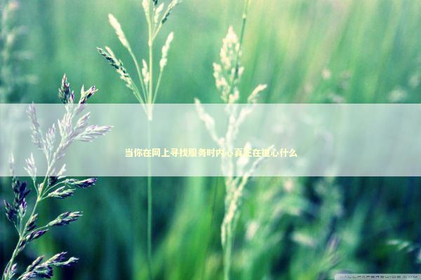 当你在网上寻找服务时内心真正在担心什么 IT技术