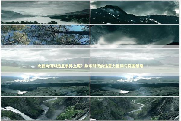 大脑为何对热点事件上瘾？数字时代的注意力困局与突围策略 新闻