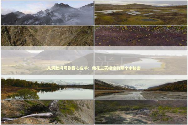 从满脸问号到得心应手：我花三天搞定的那个小秘密