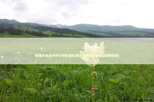 乘坐火车出行时行李检查的规范流程与旅客权益保障指南 乘坐火车出行时行李检查的规范流程与旅客权益保障指南 新闻
